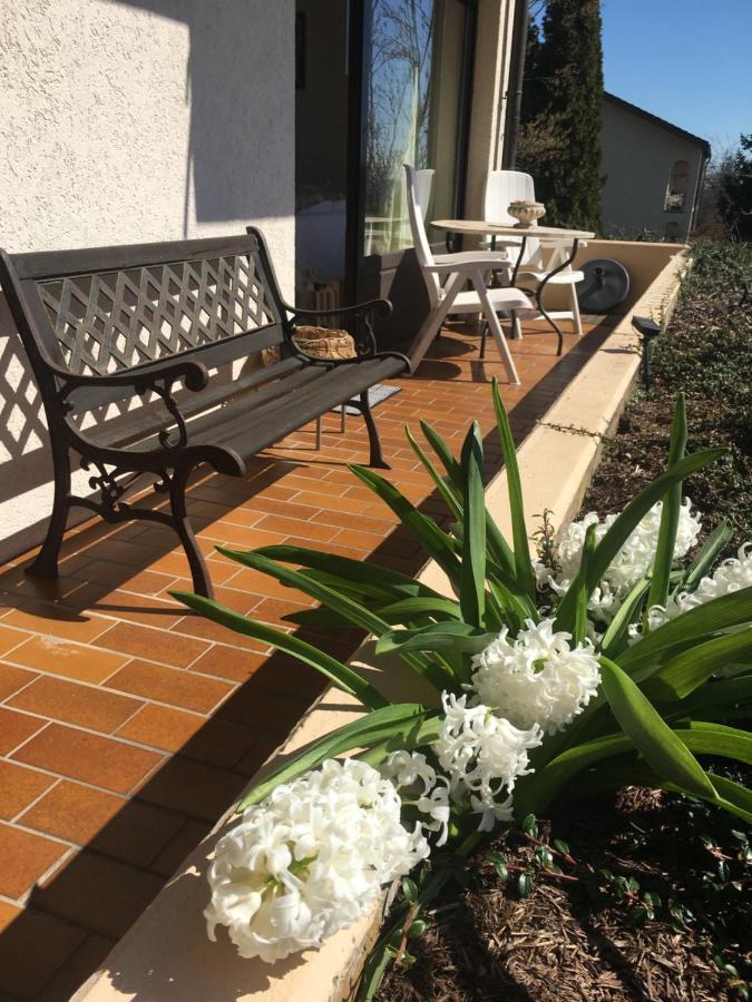 Exklusives Apartment In Bad Saeckingen Fuer 2 Person Esterno foto